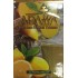Табак для кальяна Adalya Lemonchello (Адалия Лимончелло) 50г 